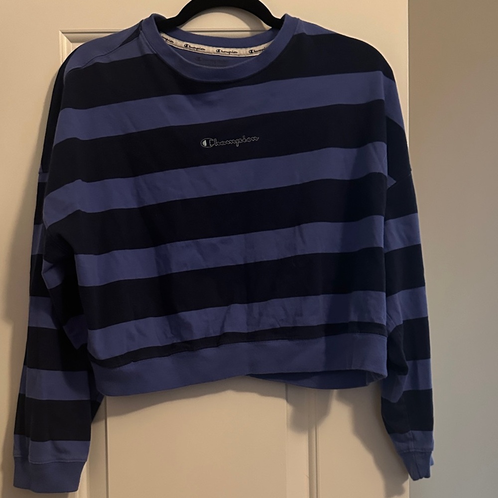 Champion Navy and Blue Striped Crewneck